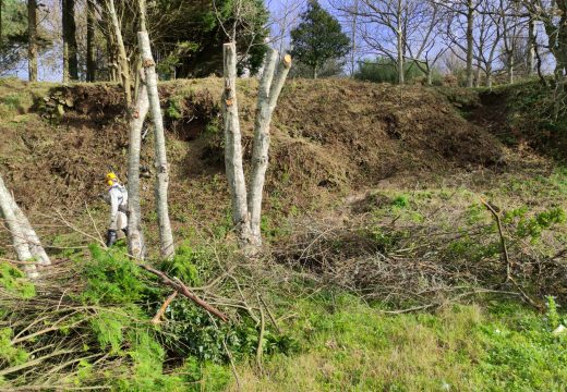 O Concello contrata un servizo de arqueoloxía para constatar que a senda entre Area da Vila e Lingunde non afecta ao castro